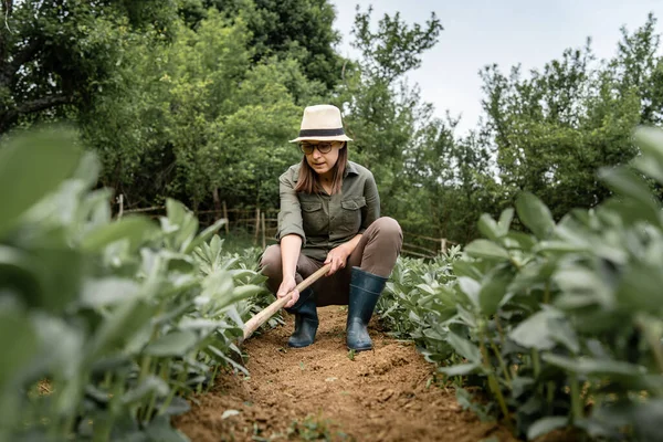 Vooraanzicht Van Jonge Blanke Vrouw Vrouwelijke Boer Werkzaam Landbouw Ingediend — Stockfoto