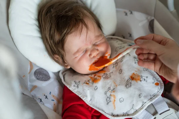 First meal problems concept small caucasian baby five months old refusing to eat spitting organic carrot mash puree while lying in a swing and hand of unknown mother holding the spoon while feeding