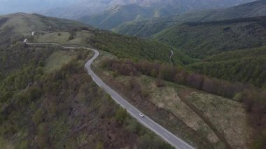 Sırbistan 'ın Knjazevac yakınlarındaki eski dağ starı planinasındaki tarlalar ve ağaçlardan geçen sonbahar veya kış günlerinde seyahat ve turizm taşımacılığı konsepti otomobili izledi.