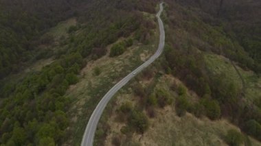 Sırbistan 'ın Knjazevac yakınlarındaki eski dağ starı planinasındaki tarlalar ve ağaçlardan geçen sonbahar veya kış günlerinde seyahat ve turizm taşımacılığı konsepti otomobili izledi.