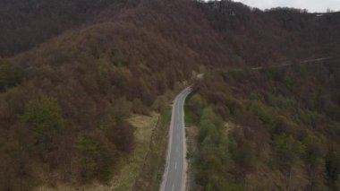 Sırbistan 'ın Knjazevac yakınlarındaki eski dağ starı planinasındaki tarlalar ve ağaçlardan geçen sonbahar veya kış günlerinde seyahat ve turizm taşımacılığı konsepti otomobili izledi.