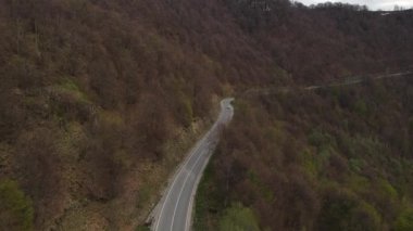 Sırbistan 'ın Knjazevac yakınlarındaki eski dağ starı planinasındaki tarlalar ve ağaçlardan geçen sonbahar veya kış günlerinde seyahat ve turizm taşımacılığı konsepti otomobili izledi.