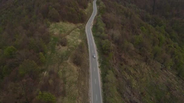 Top Pohled Silnici Drone Sledovat Auto Zatímco Řídit Cestování Cestovní — Stock video
