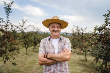 Yazın kiraz bahçesinde dikilen yaşlı bir erkek çiftçinin portresi. Kendinden emin bir emeklinin tarlasında hasır şapka fotokopi alanı takarak kameraya bakması.