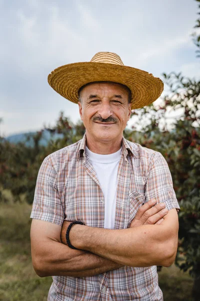 One man front view portrait of senior male farmer standing in the cherry orchard in summer day confident pensioner looking to the camera on his plantation wearing straw hat copy space