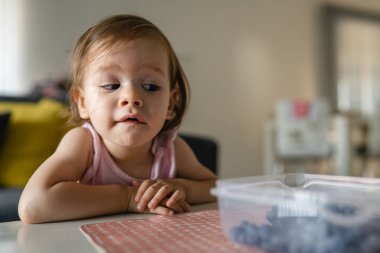 Bir kız çocuğu, küçük beyaz bir kız çocuğu. Bir yaz günü evde oturmuş, kaseden yaban mersini yiyor. Çocukluk kavramı, gerçek insanlar.
