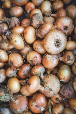 Soğan tam çerçeve arka yığın üst görünüm taze organik yığın hasat