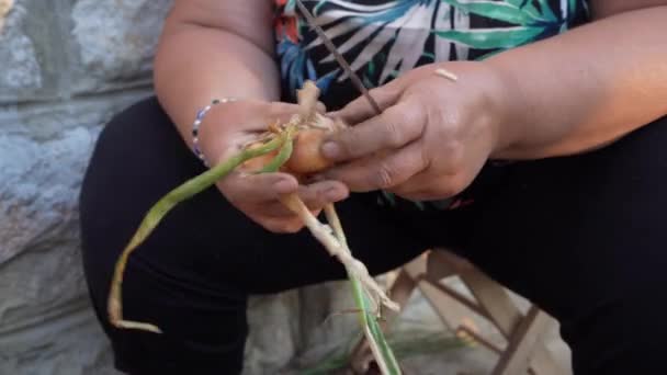 Unknown Woman Female Farmer Hold Onion Hands While Sitting Outdoor — Vídeo de stock