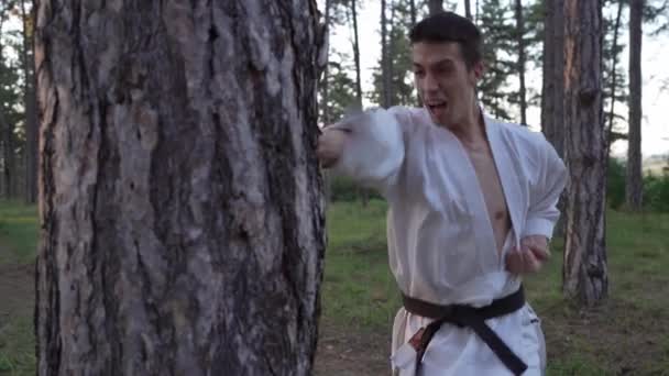 One Man Male Karateka Caucasian Adult Young Martial Artist Training — 图库视频影像