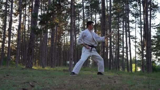 Man Training Karate Forest One Male Athlete Karateka Caucasian Practitioner — Vídeo de stock