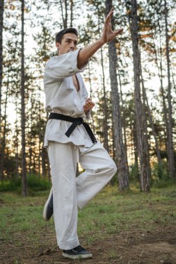 One man caucasian karateka male athlete training karate in the forest in woods in nature wear kimono gi uniform real people copy space martial arts concept practice