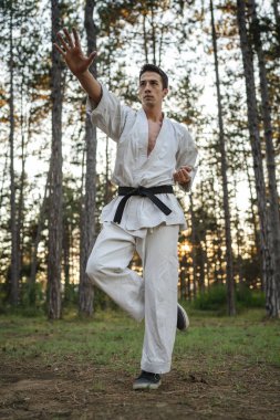 One man caucasian karateka male athlete training karate in the forest in woods in nature wear kimono gi uniform real people copy space martial arts concept practice
