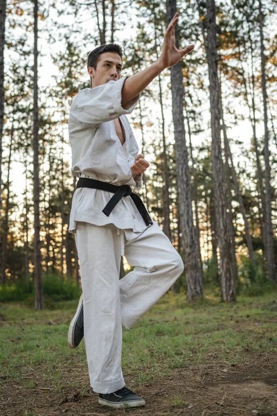 One Man Caucasian Karateka Male Athlete Training Karate Forest Woods — Stock fotografie