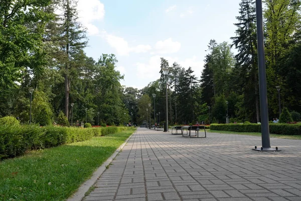 Vrnjacka Banja Serbia 2022 Public Park Town Summer — 图库照片