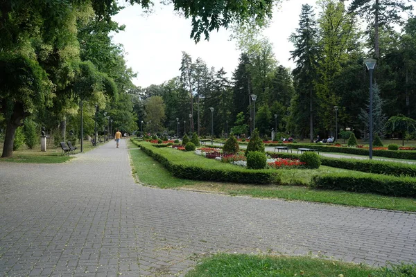 Vrnjacka Banja Serbia 2022 Public Park Town Summer — стоковое фото