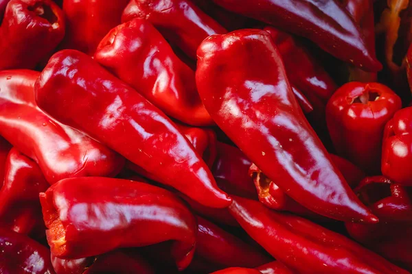 Fresh Organic Red Paprika Ripe Pepper Harvested Full Frame Top — Stock Photo, Image