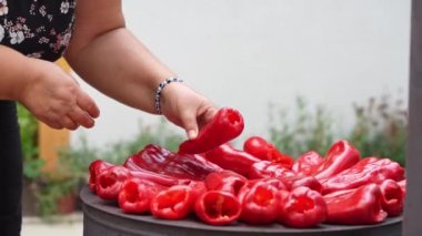 roasting paprika for winter provisions red organic peppers grill on the stove oven to be turned into ajvar a tasty spread unknown woman prepare food traditional way
