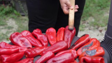 roasting paprika for winter provisions red organic peppers grill on the stove oven to be turned into ajvar a tasty spread unknown woman prepare food traditional way