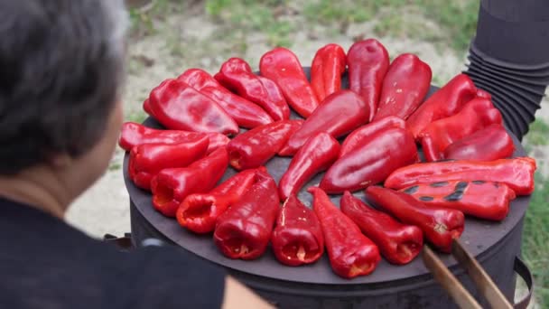 Roasting Paprika Winter Provisions Red Organic Peppers Grill Stove Oven — 图库视频影像