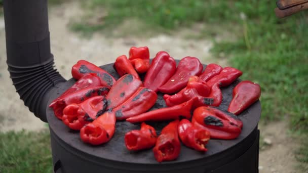 Ψήσιμο Πάπρικα Για Τις Χειμερινές Προμήθειες Κόκκινες Οργανικές Πιπεριές Σχάρα — Αρχείο Βίντεο