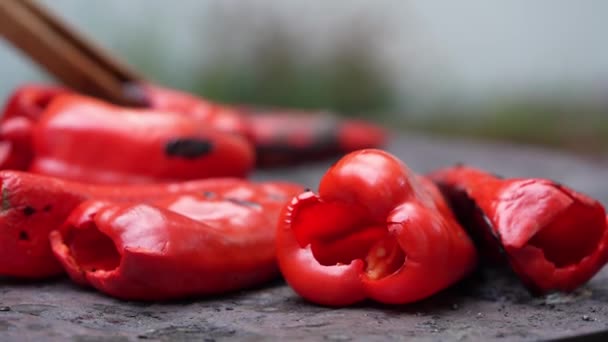 Roasting Paprika Winter Provisions Red Organic Peppers Grill Stove Oven — Stock Video