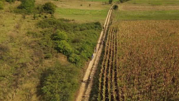 Drone Video Felülről Kövesse Csoport Emberek Lovaglás Elektromos Kerékpárok Kerékpár — Stock videók