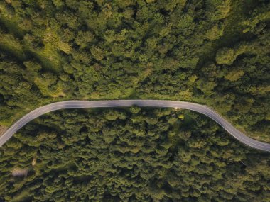 Ağaçlar ve ormanlar boyunca dağ sırasındaki yol manzarası kırsal seyahat ve doğa konsepti.