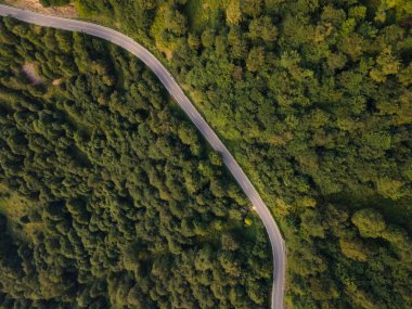 Ağaçlar ve ormanlar boyunca dağ sırasındaki yol manzarası kırsal seyahat ve doğa konsepti.