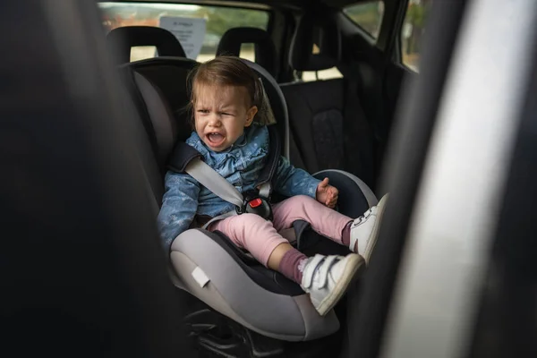 Una Niña Pequeño Niño Caucásico Niña Sentada Silla Seguridad Asiento — Foto de Stock