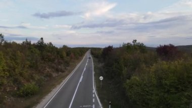 Yoldaki hava manzarası arabalarla birlikte sonbahar günü seyir konsepti ile birlikte asfalttaki orman ağaçlarının arasından geçiyor.