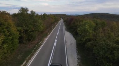 Yoldaki hava manzarası arabalarla birlikte sonbahar günü seyir konsepti ile birlikte asfalttaki orman ağaçlarının arasından geçiyor.