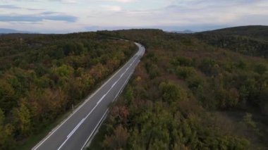 Yoldaki hava manzarası arabalarla birlikte sonbahar günü seyir konsepti ile birlikte asfalttaki orman ağaçlarının arasından geçiyor.