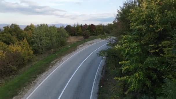 Accidente Aplastamiento Drones Golpeando Árbol Naturaleza Durante Filmación Carretera Cordillera — Vídeos de Stock