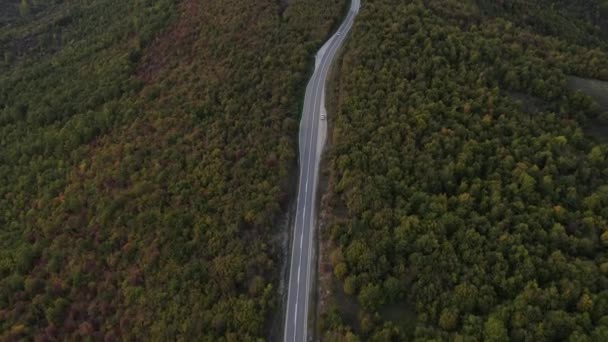 Вид Повітря Дорогу Автомобілями Автомобіль Проходить Концепцію Круїзного Водіння Осінній — стокове відео