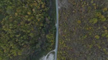 Sonbahar günü, asfalt tepede asfalt hava aracı görünümünde ağır taşıma araçları seyahat konsepti. 