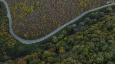 Sonbahar günü, asfalt tepede asfalt hava aracı görünümünde ağır taşıma araçları seyahat konsepti. 