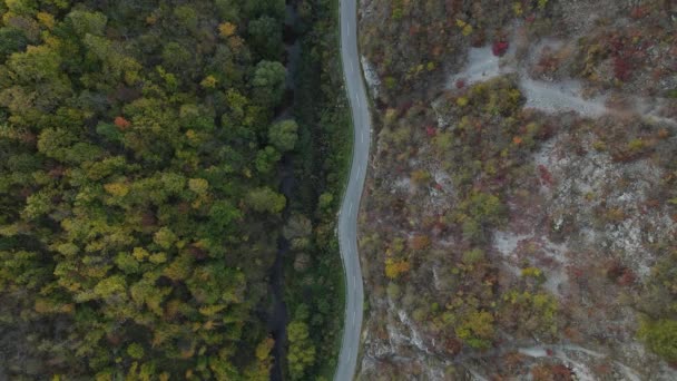 Автомобільний Водій Дорозі Осінній День Важкий Транспортний Транспорт Подорожі Автомобіль — стокове відео