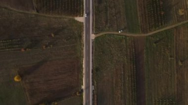 Sonbahar günü otomobillerle yol manzaralı asfalt kırsal alanda asfalt üzerinde seyir konseptini geçen araçlar doğada tepeden tırnağa seyahat konsepti.