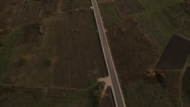 Video Drone Jalan Timur Serbia Menembus Ladang Alam Pedesaan Pada — Stok Video