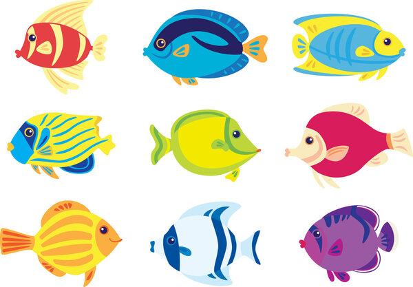 Тропические рыбы
