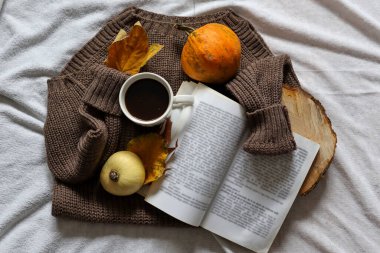 Sarı sonbahar yaprakları ve balkabağıyla süslenmiş yün süveter üzerine açık bir kitap. Yaklaş, seçici odaklanma