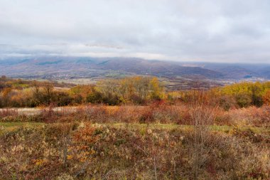 Sonbahar manzarası olan dağ manzaralı soğuk bulutlu bir günde sarı ve altın renkli orman ve çayır.
