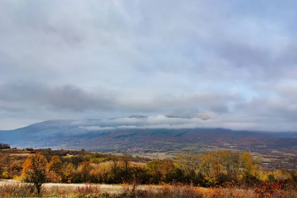 Prachtig Herfstlandschap Met Uitzicht Berg Natuur Met Geel Goudkleurig Bos — Stockfoto