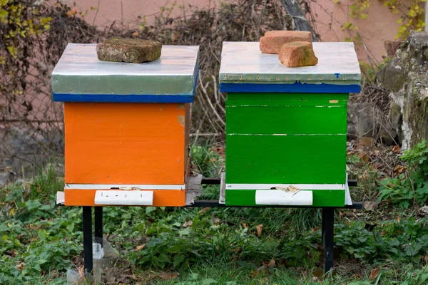 Twee Houten Bijenkorven Geschilderd Oranje Groene Kleur Een Binnenplaats Een — Stockfoto