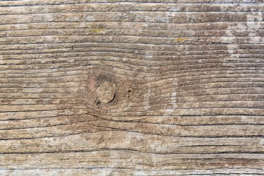 Yıpranmış ahşap ahşap bir döşeme. Eski gri ahşap dokunun yüzeyi. Metin veya tasarım için alanı kapat ve kopyala