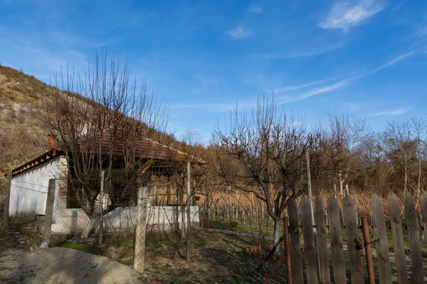 Gornji Matejevac Serbia February 2022 Summer House Vineyard Hill Village — Stock Photo, Image