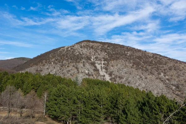 Paisaje Con Vistas Bosque Siempreverde Bajo Montaña Desde Pueblo Gornji —  Fotos de Stock