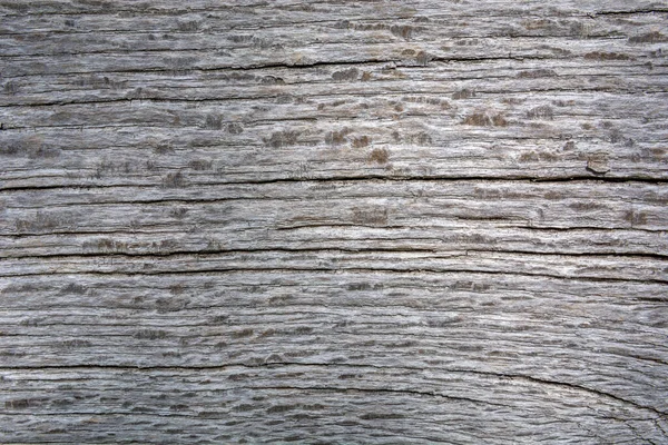 Gray Wooden Textured Plank Cracks Design Copy Space Text — Stock fotografie