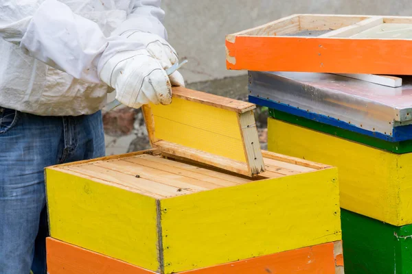 Een Imker Die Een Honingraat Vasthoudt Bijenhouder Beschermende Werkkleding Inspecterend — Stockfoto