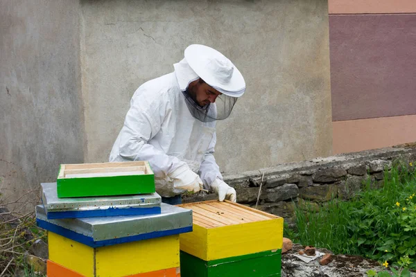 Bijenhouder Beschermende Kleding Die Zijn Bijenstal Werkt Een Zonnige Lentedag — Stockfoto